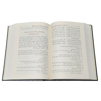 Hayatus Sahaba By M Ilyas Barabankwi, Arabic Only, 4 Vol Set