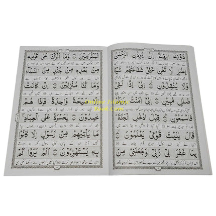 Surah Yaseen with Urdu Translation (Arabic and Urdu)