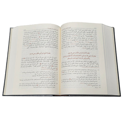 Hayatus Sahaba By M Ilyas Barabankwi, Arabic Only, 4 Vol Set