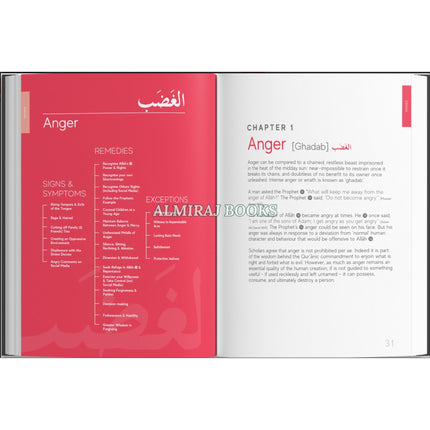 A Handbook of Spiritual Medicine by Jamal Parekh (Ibn Daud) Paperback