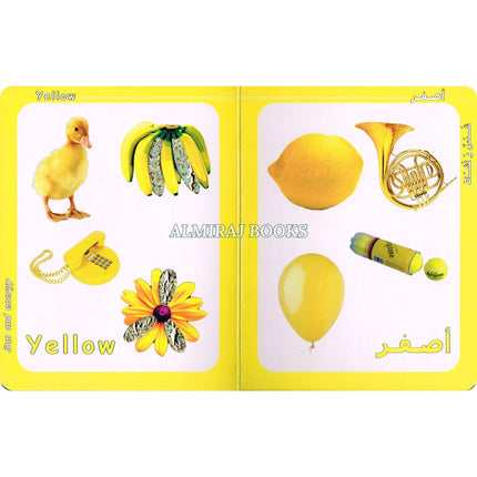 Big Ideas for Little Minds Colors (Arabic/English)