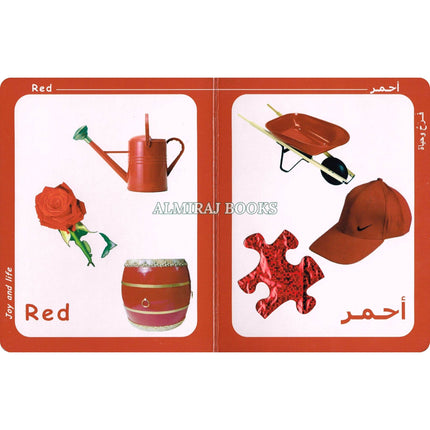 Big Ideas for Little Minds Colors (Arabic/English)