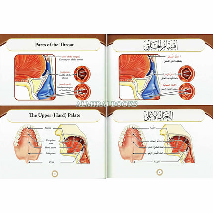 Illustrated Tajweed New Edition Combined Volume 1 and 2 By Dr. Ayman Rushdi Swaid