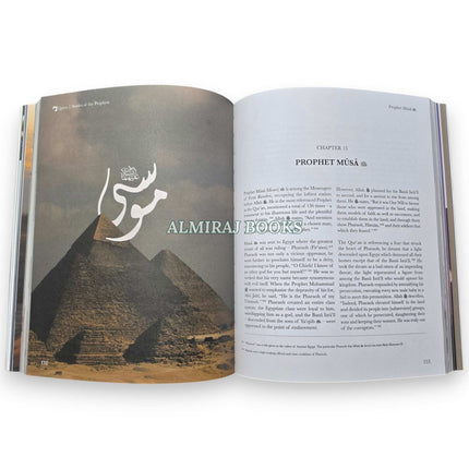 Stories of the Prophets By Mufti Menk Dr Salah Sharief, 9781919421834
