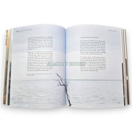 Stories of the Prophets By Mufti Menk Dr Salah Sharief, 9781919421834