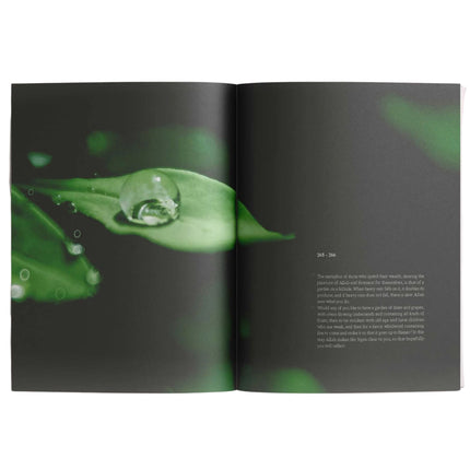 Surah Al-Baqarah | The Cow by Abdalhaqq Bewley