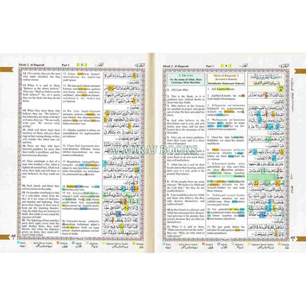 The Holy Quran with English Translation and Transliteration (Persian-Hindi-Urdu Script) Without Box
