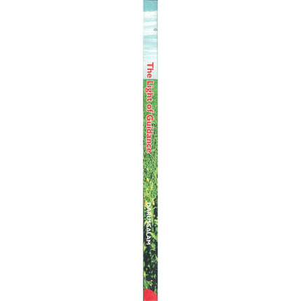 The Light of Guidance By Dr. Muhammad Muhsin Khan