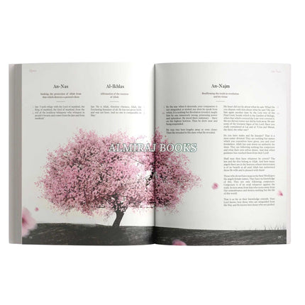 The Message Makkah Edition (A Study of Makkah Surah)