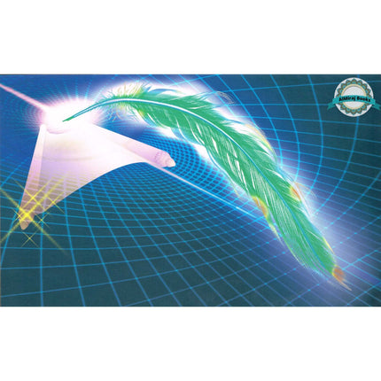 The Need for Creed Series (10 Books) By Moazzam Zaman