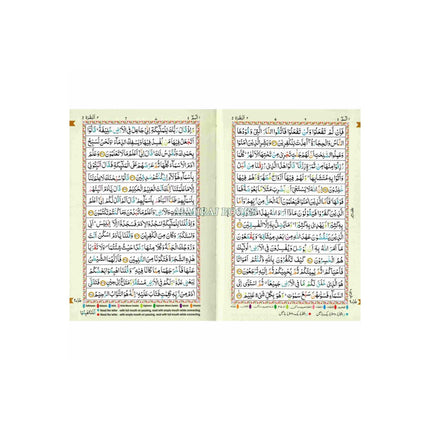 The Holy Quran Tajweed Rules with Colour Coded (Pocket Size) (Persian/Urdu script)