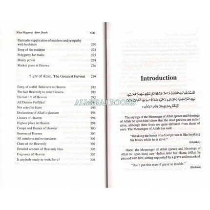 What Happens After Death By Maulana Muhammad Ashiq ilahi