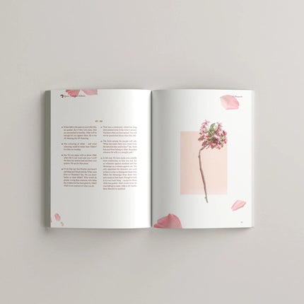 The Message Madani Edition (A Study of Madni Surah)
