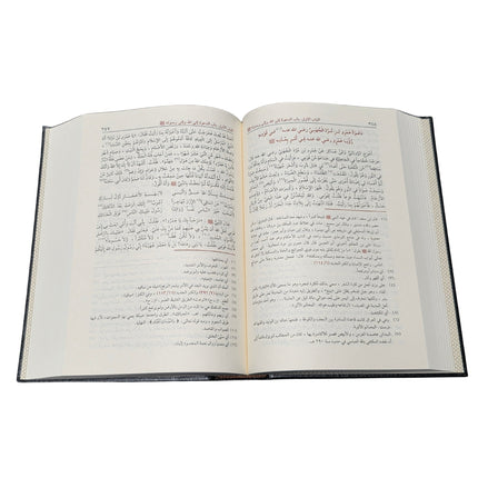 Hayatus Sahaba By M Ilyas Barabankwi, Arabic Only, 4 Vol Set