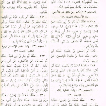 Sunan Ibn Majah (Arabic Only) By Hafiz Muhammad Ibn Majah,